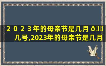 ２０２３年的母亲节是几月 🐠 几号,2023年的母亲节是几月几号,农历是几号 🐠
